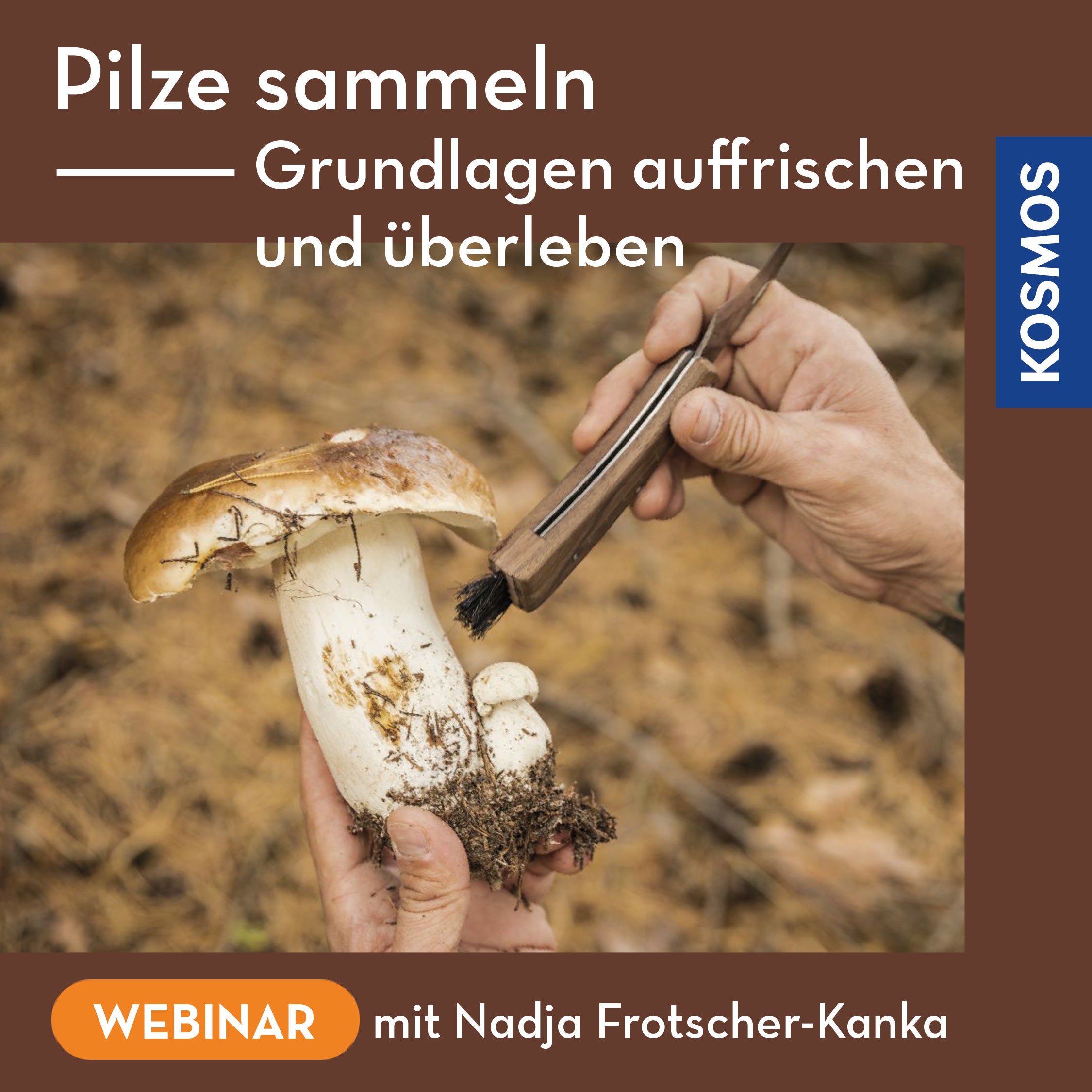 Pilze sammeln – Grundlagen auffrischen und überleben