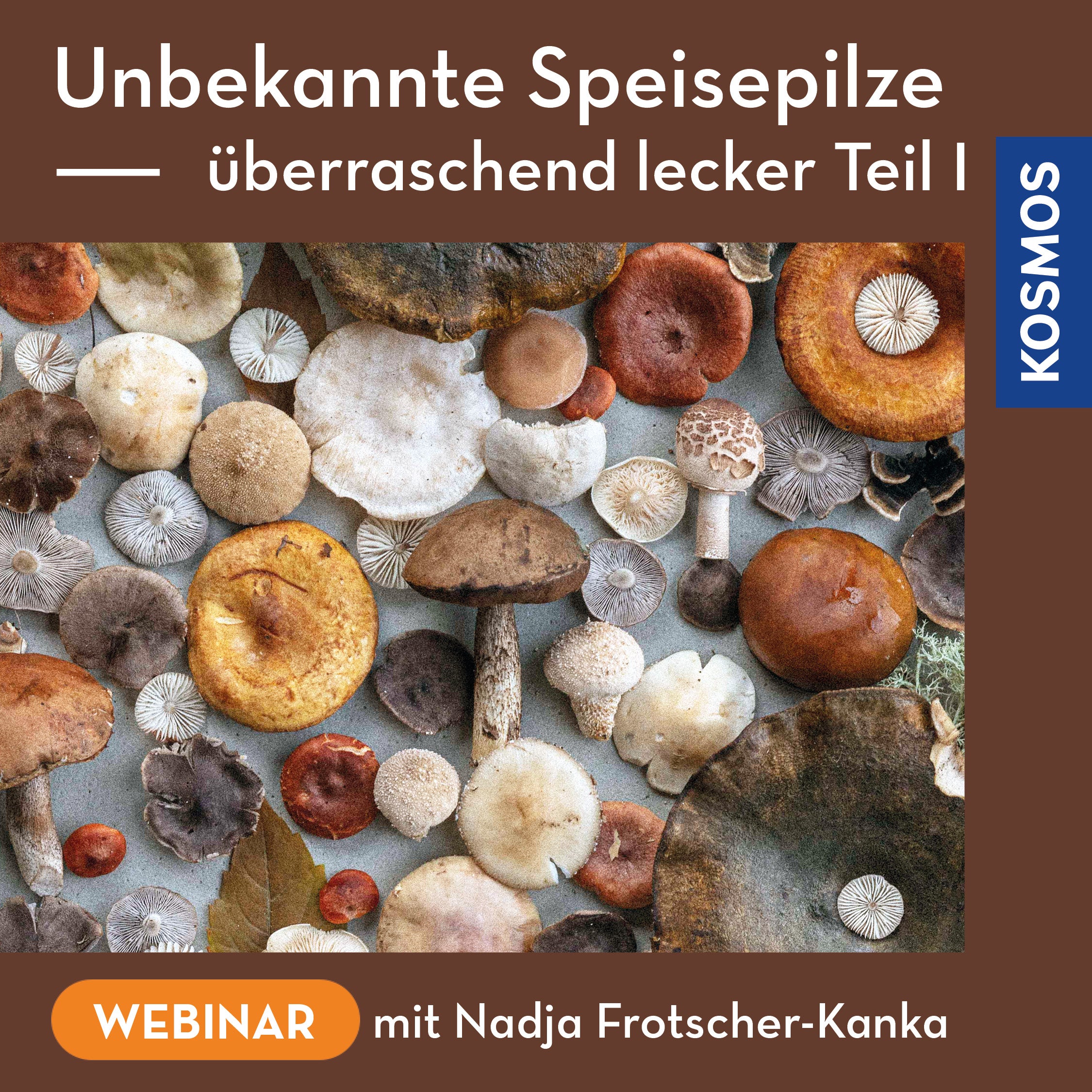 Unbekannte Speisepilze – überraschend lecker Teil 1