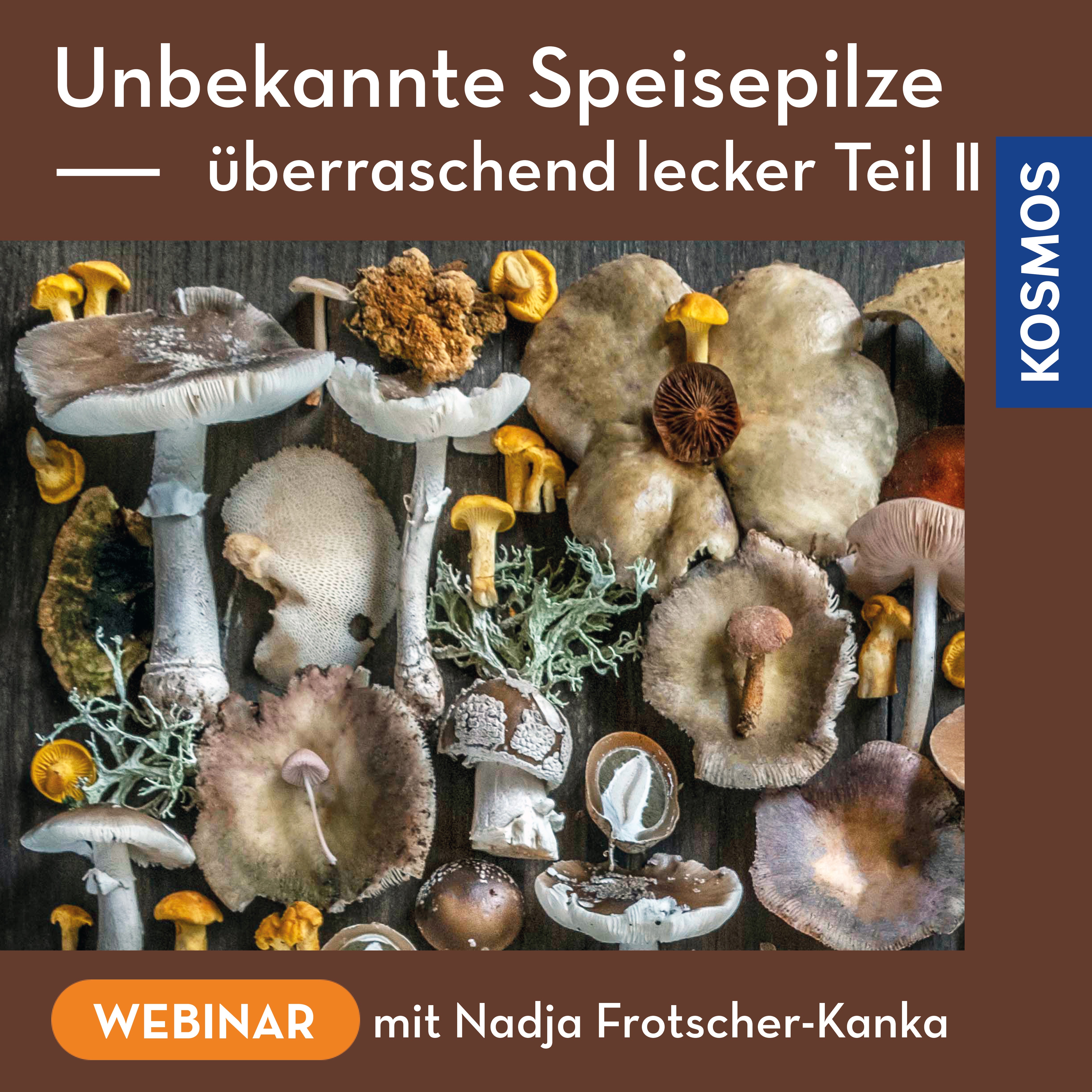 Unbekannte Speisepilze – überraschend lecker Teil 2