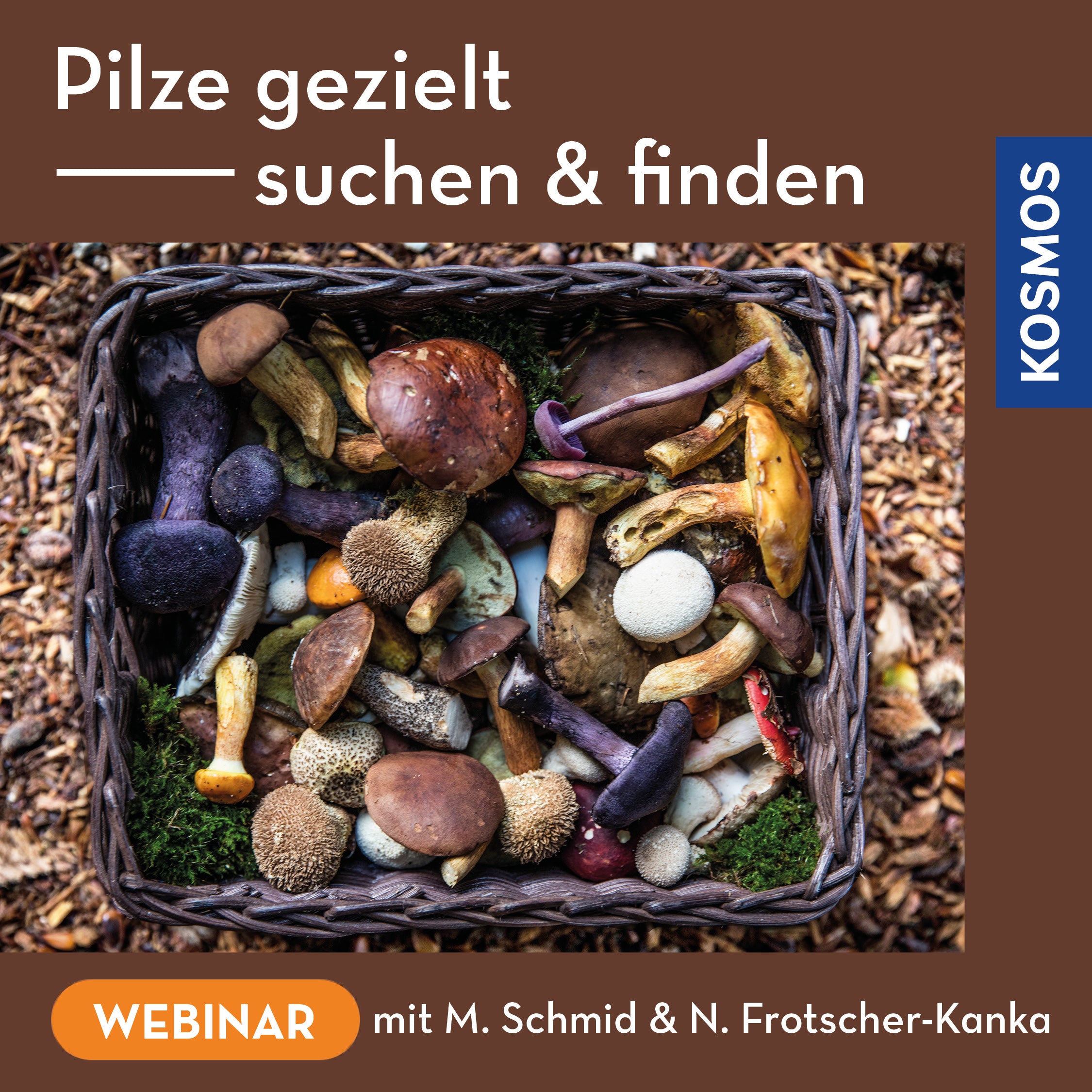 Targeted mushroom foraging