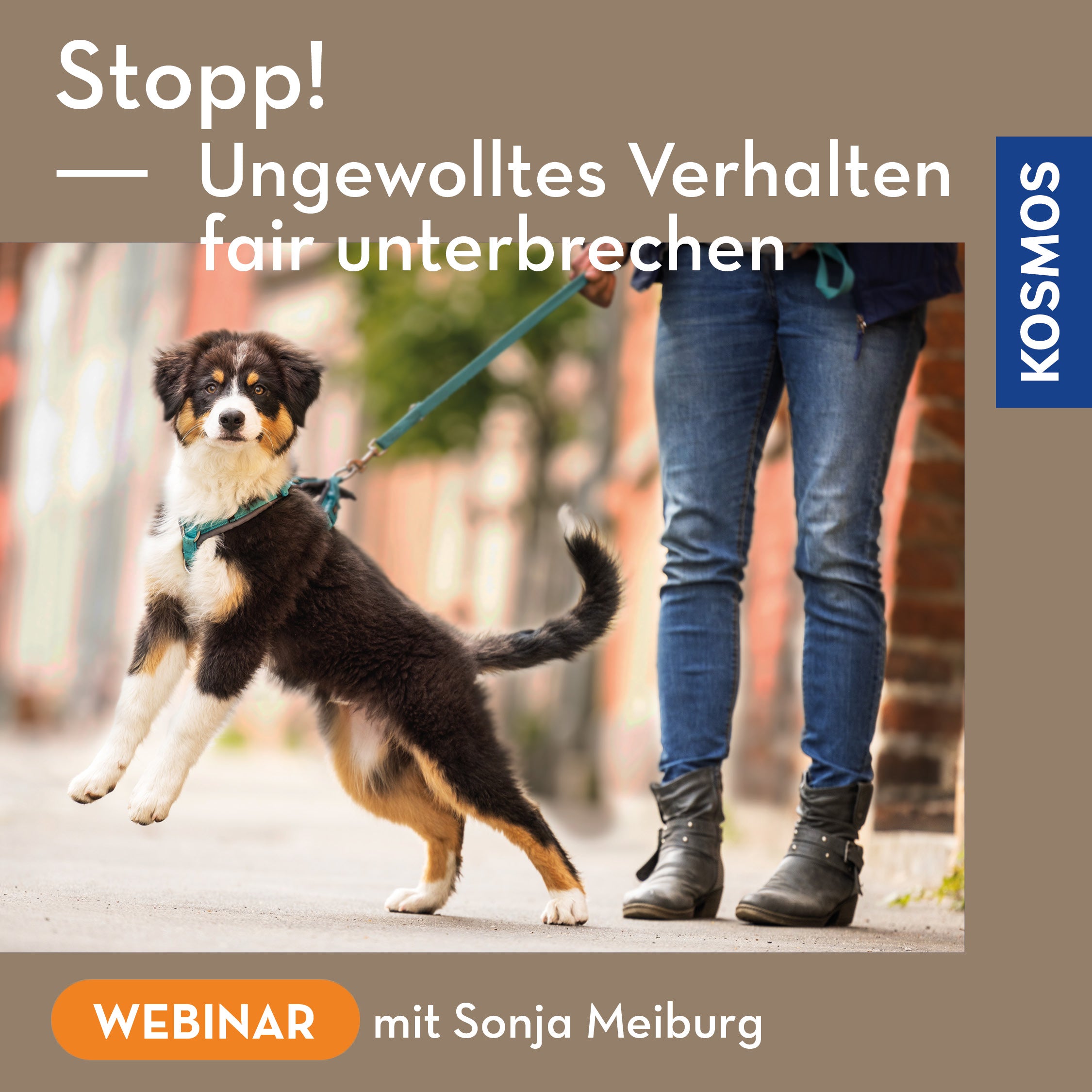 Stopp! Ungewolltes Verhalten fair unterbrechen