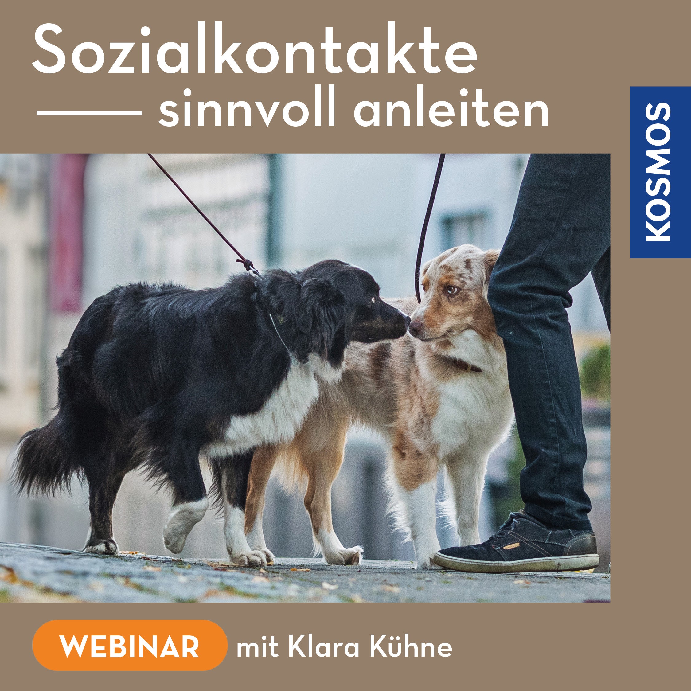 Sozialkontakte sinnvoll anleiten