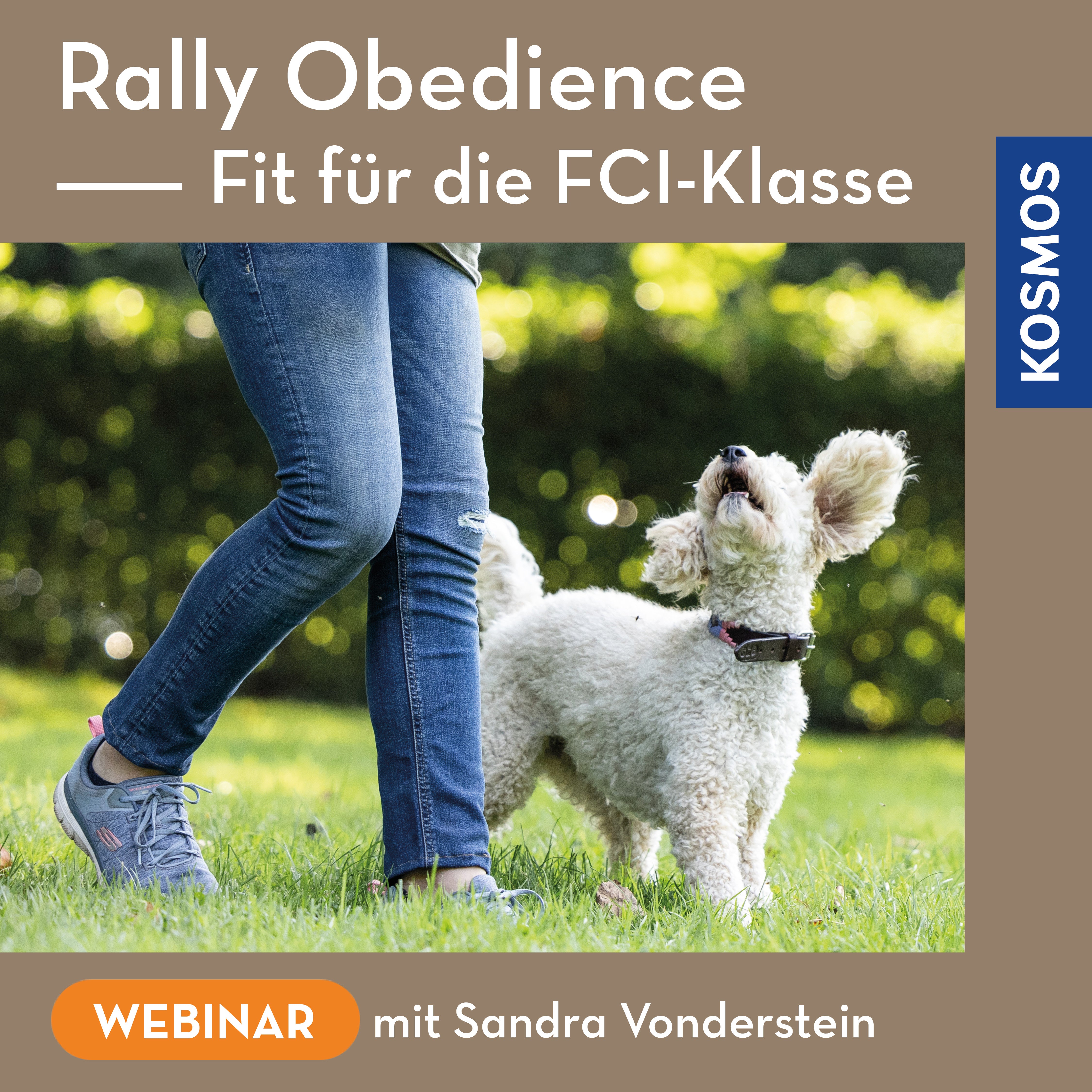 Rally Obedience – Fit für die FCI-Klasse