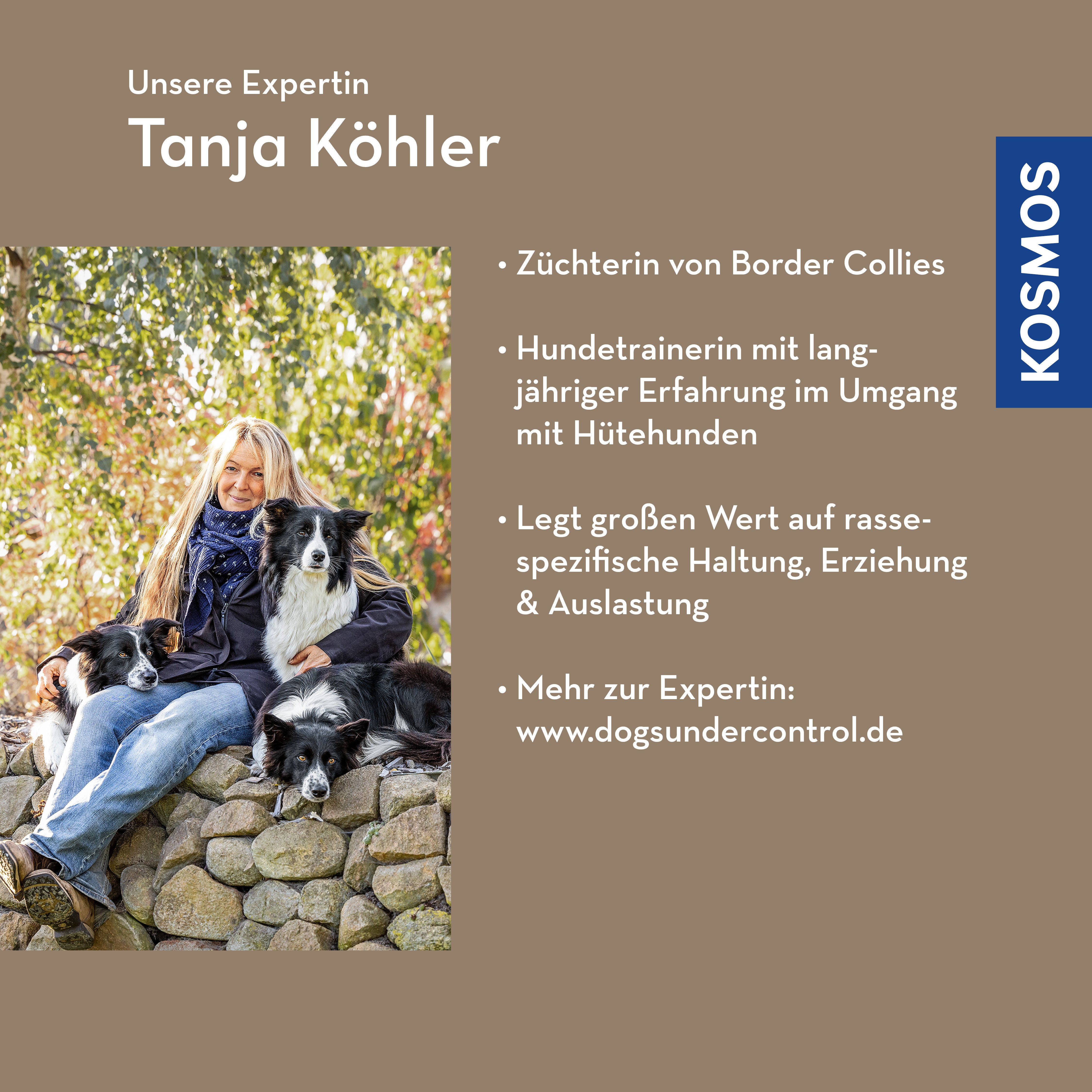 Der Border Collie – (k)ein Hund wie jeder andere