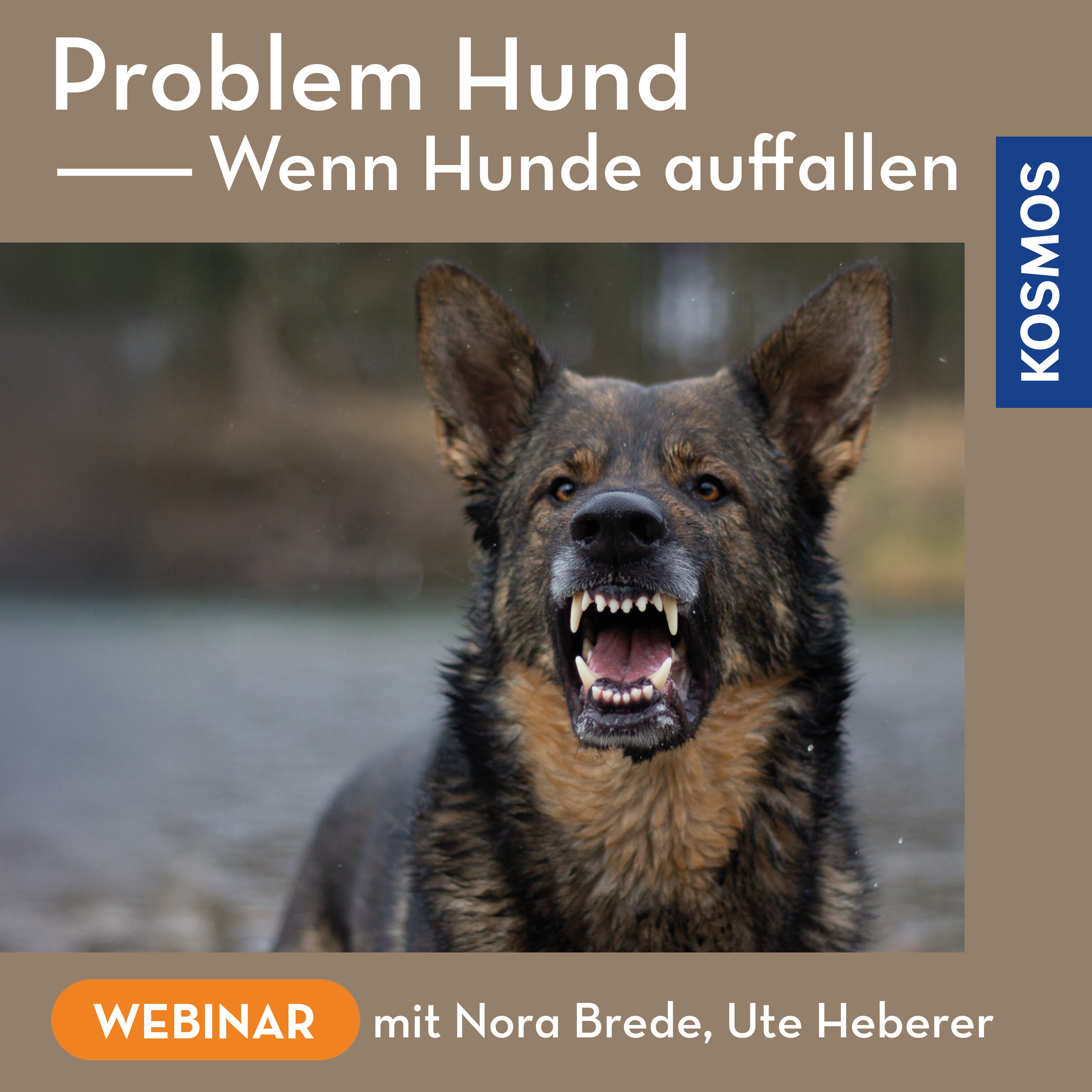 Problem Hund – Wenn Hunde auffallen