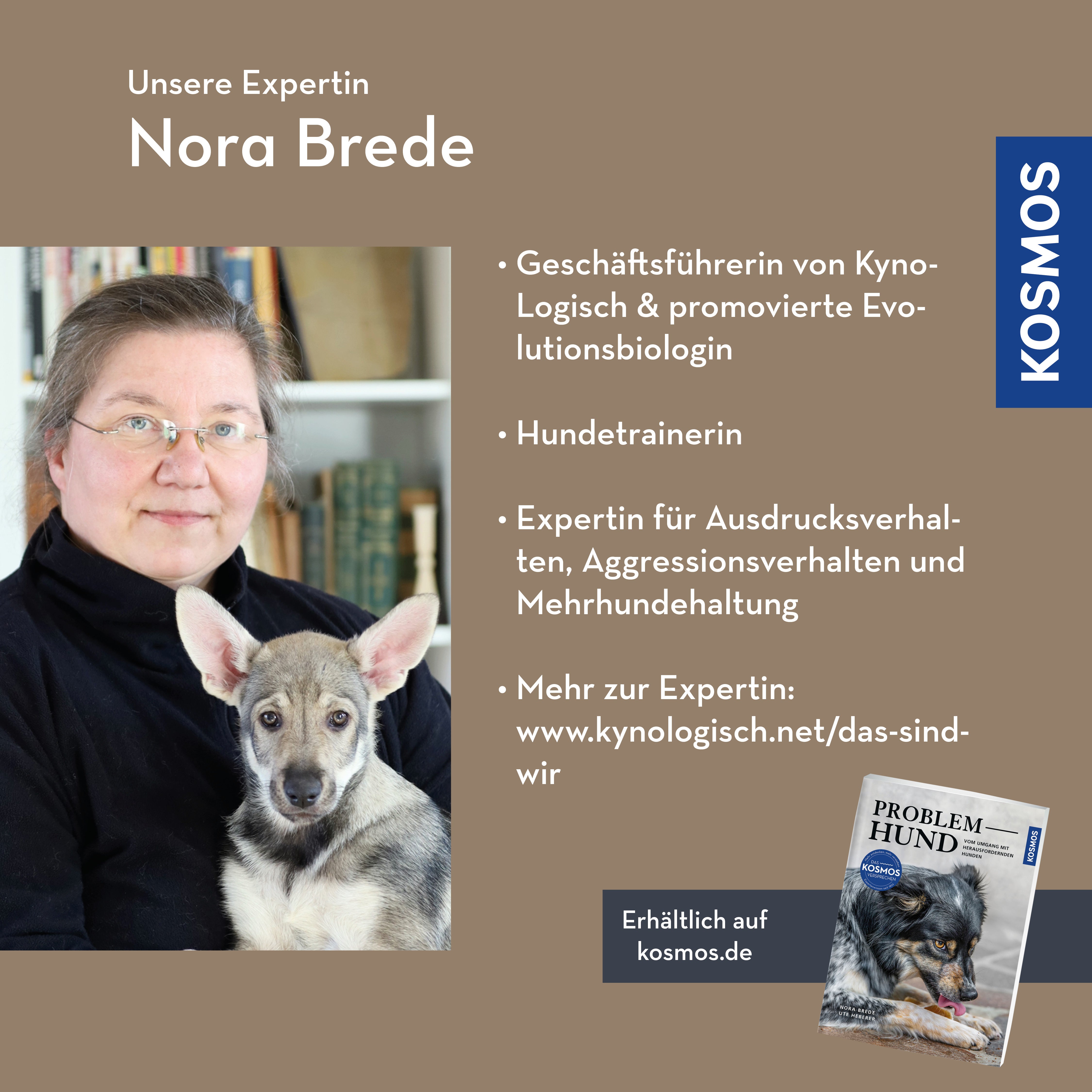 Problem Hund – Wenn Hunde auffallen