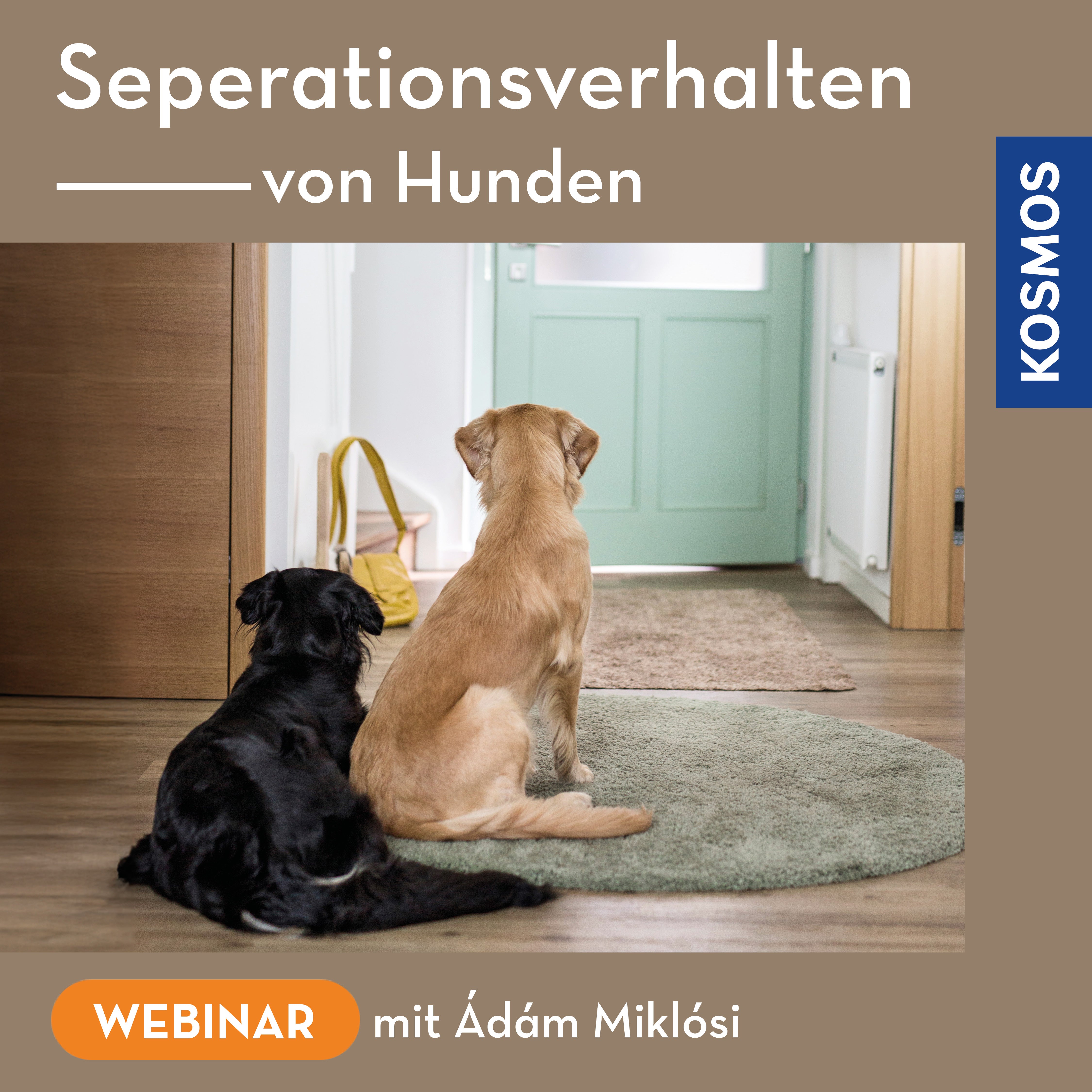 Separationsverhalten von Hunden