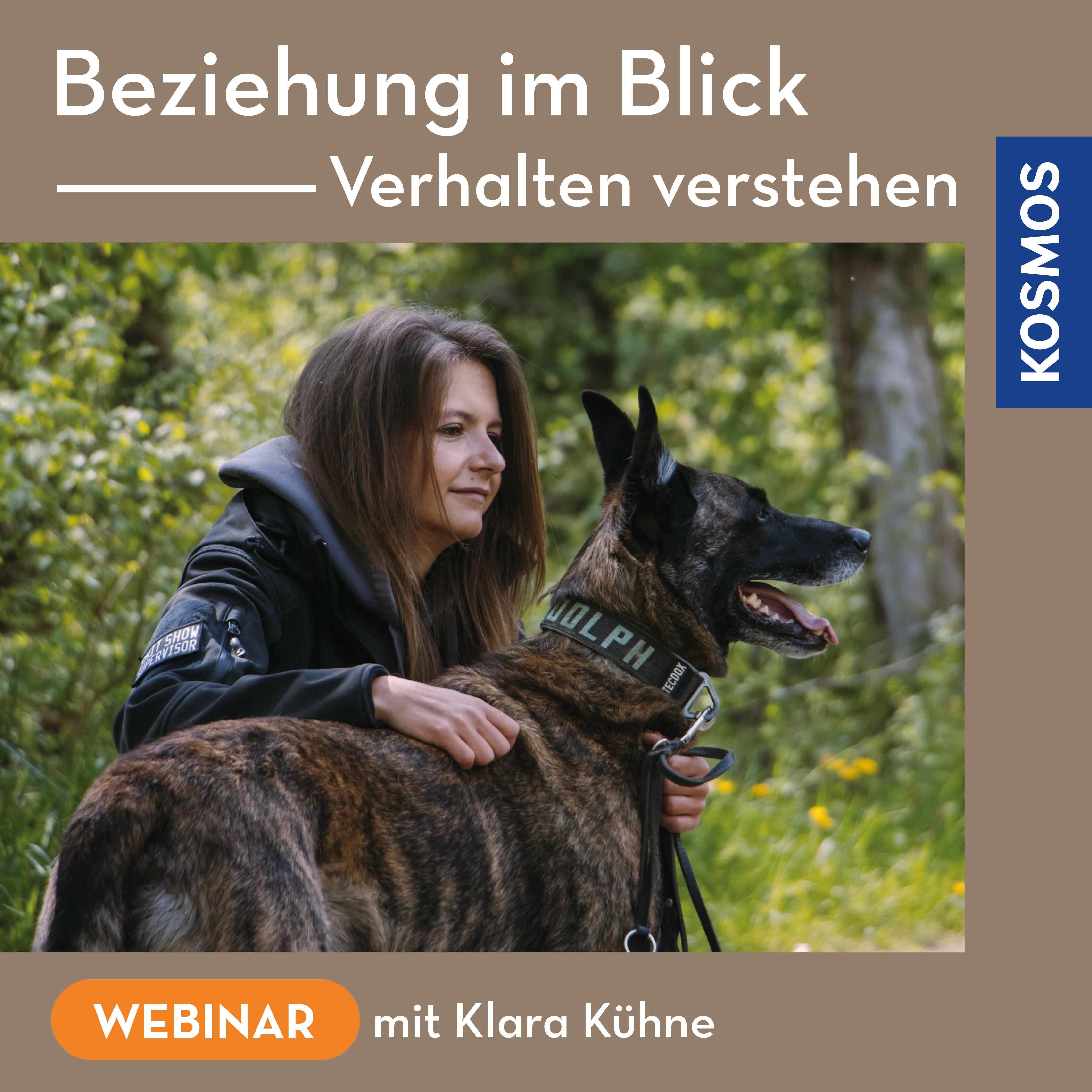 Beziehung im Blick – Verhalten verstehen