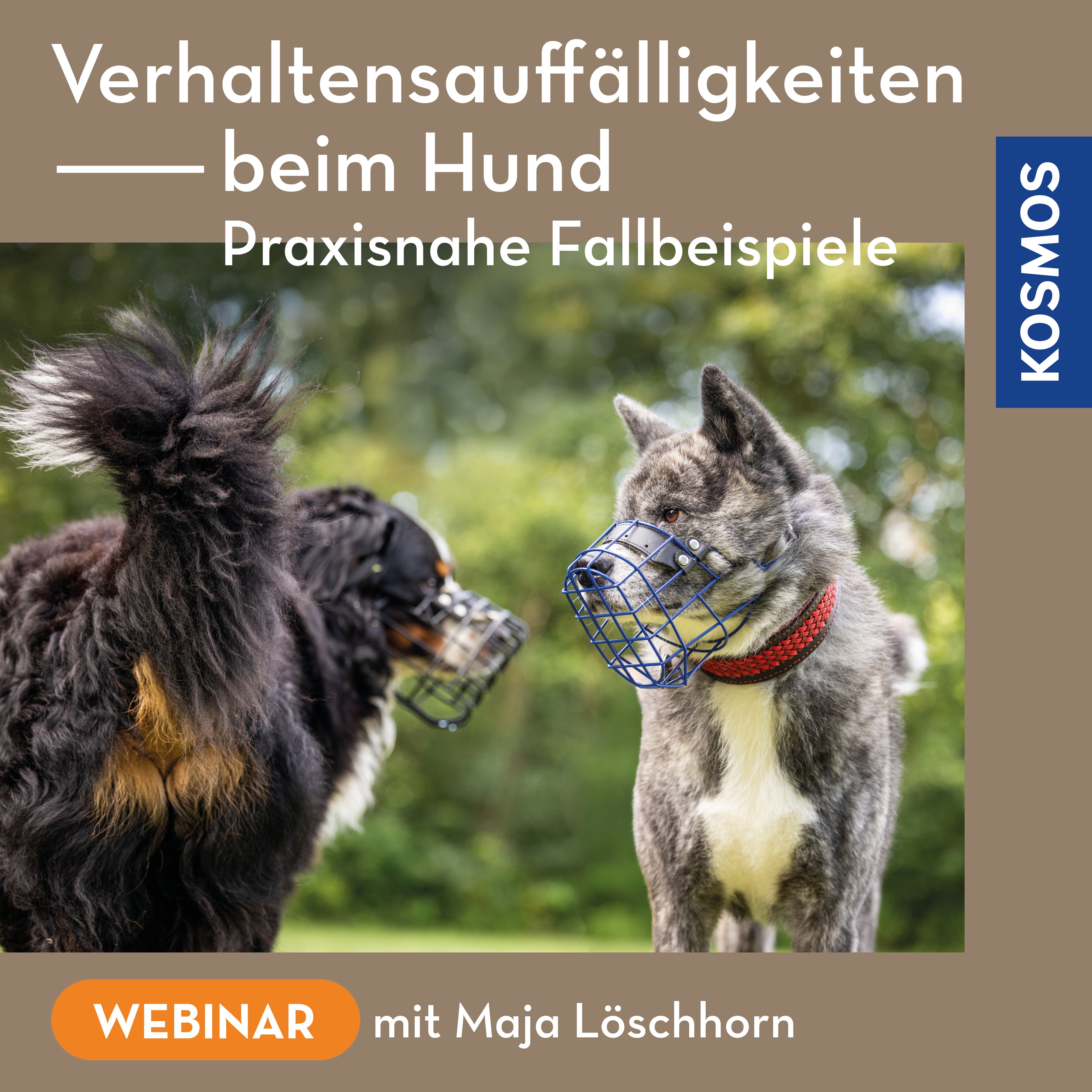 Verhaltensauffälligkeiten beim Hund – praxisnahe Fallbeispiele