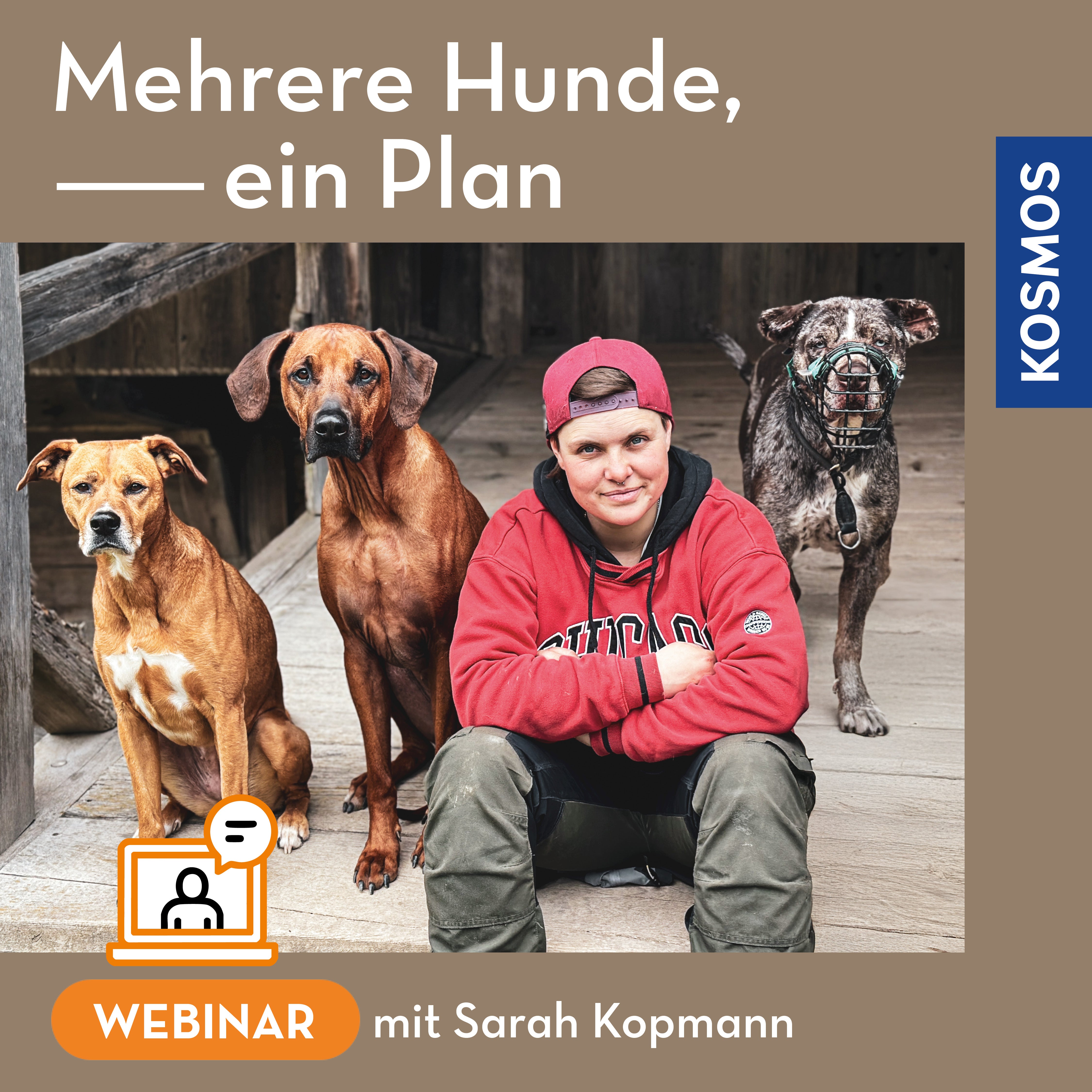Mehrere Hunde – ein Plan