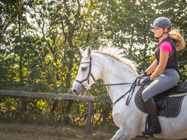 WAS KOSTET DER REITSPORT?