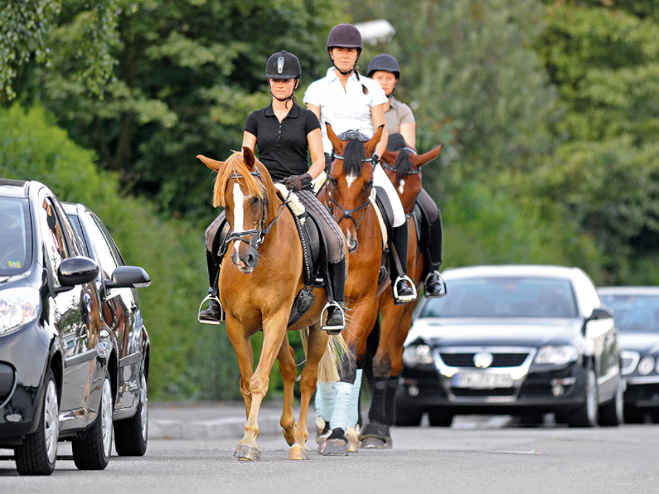 Verbote für das Reiten im Straßenverkehr