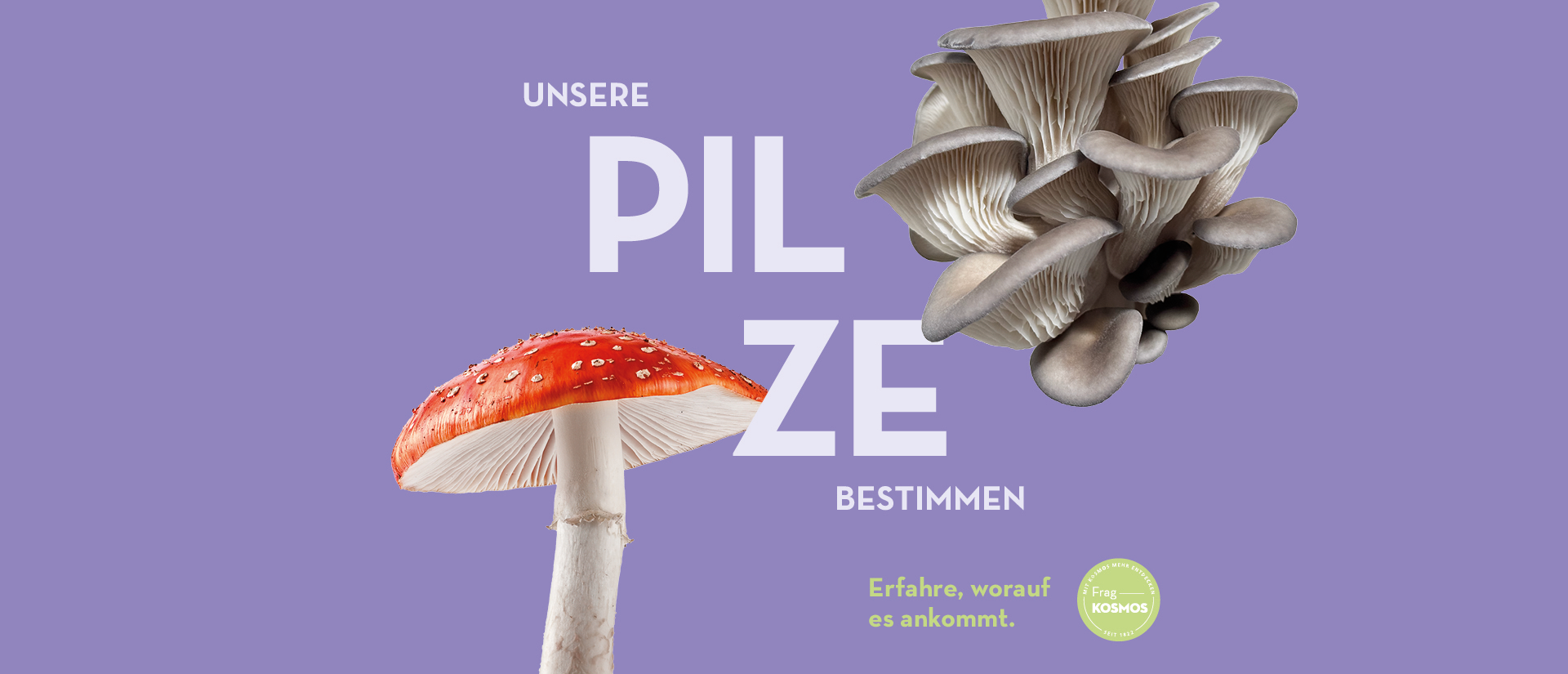 Das Frag KOSMOS Themen-Spezial Pilze