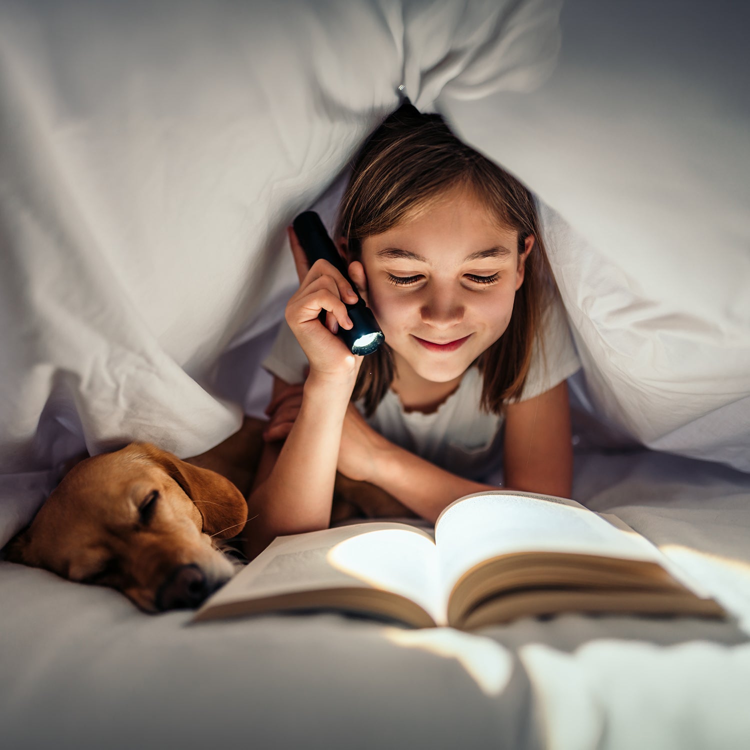 Mädchen mit Hund und Taschenlampe unter einer Decke. Das Mädchen liest ein Buch.