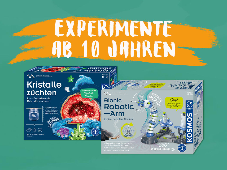 Einstieg ins Forschen