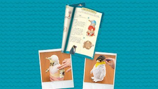 Die Schule der magischen Tiere - Gips-Spaß mit Juri Teaser