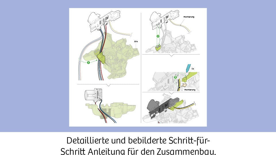 Selbst bauen, staunen, ausprobieren