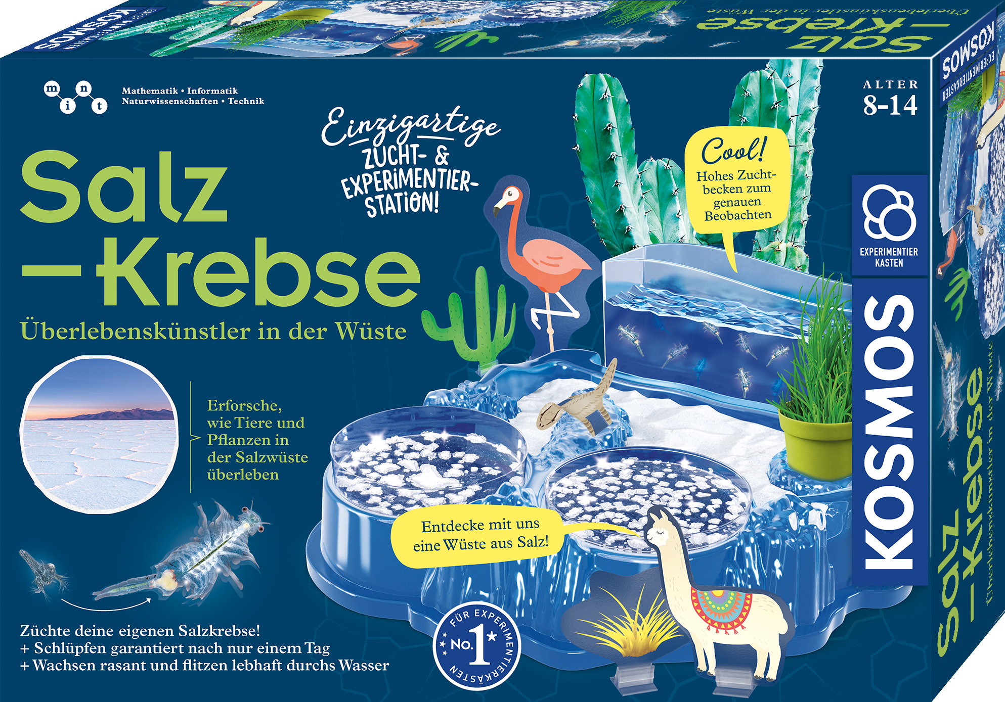 Salzkrebse
