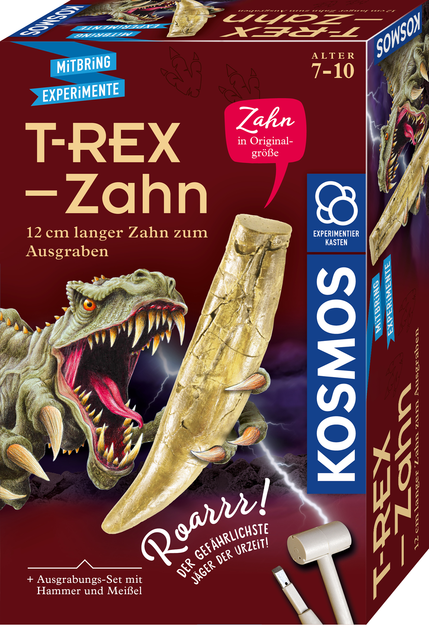 T-rex - Tooth