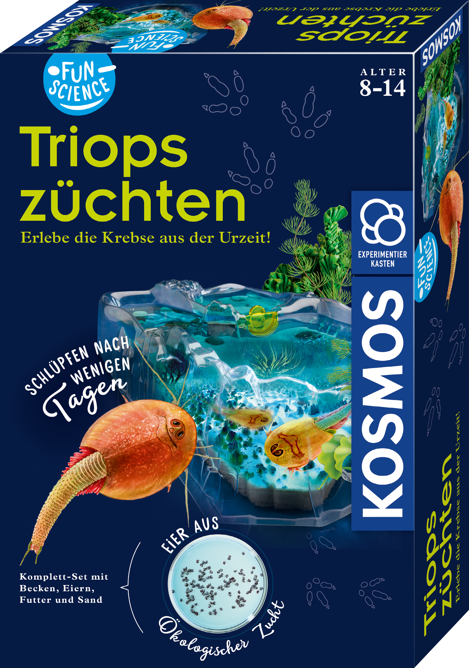 Fun Science Triops züchten