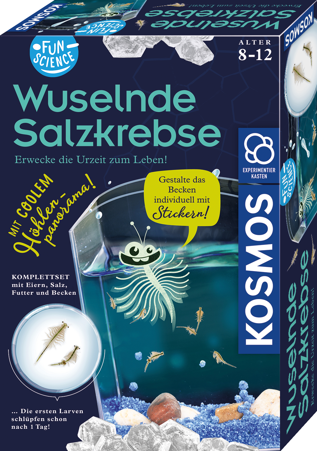 Fun Science Brine Shrimp