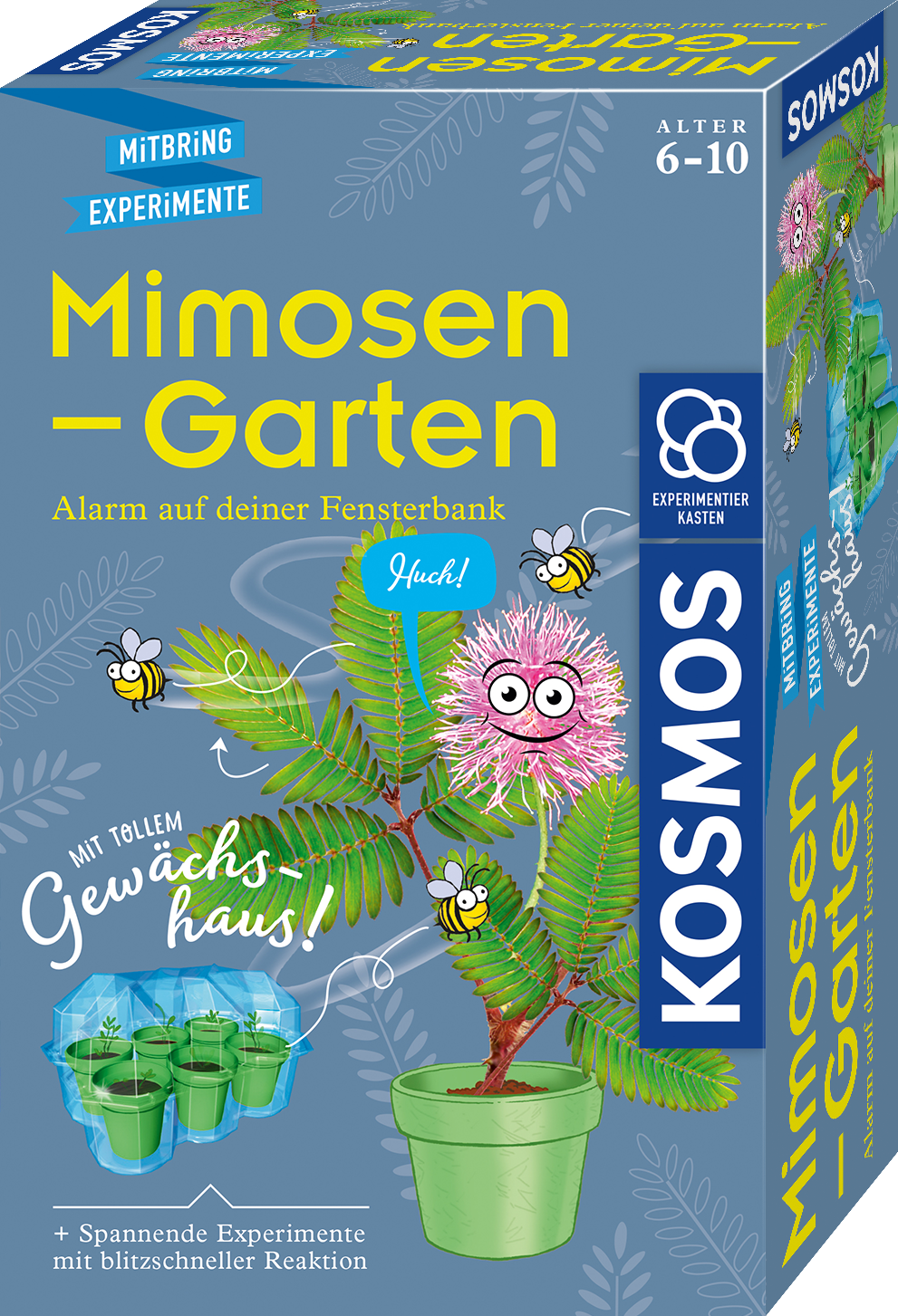 Mimosa Garden