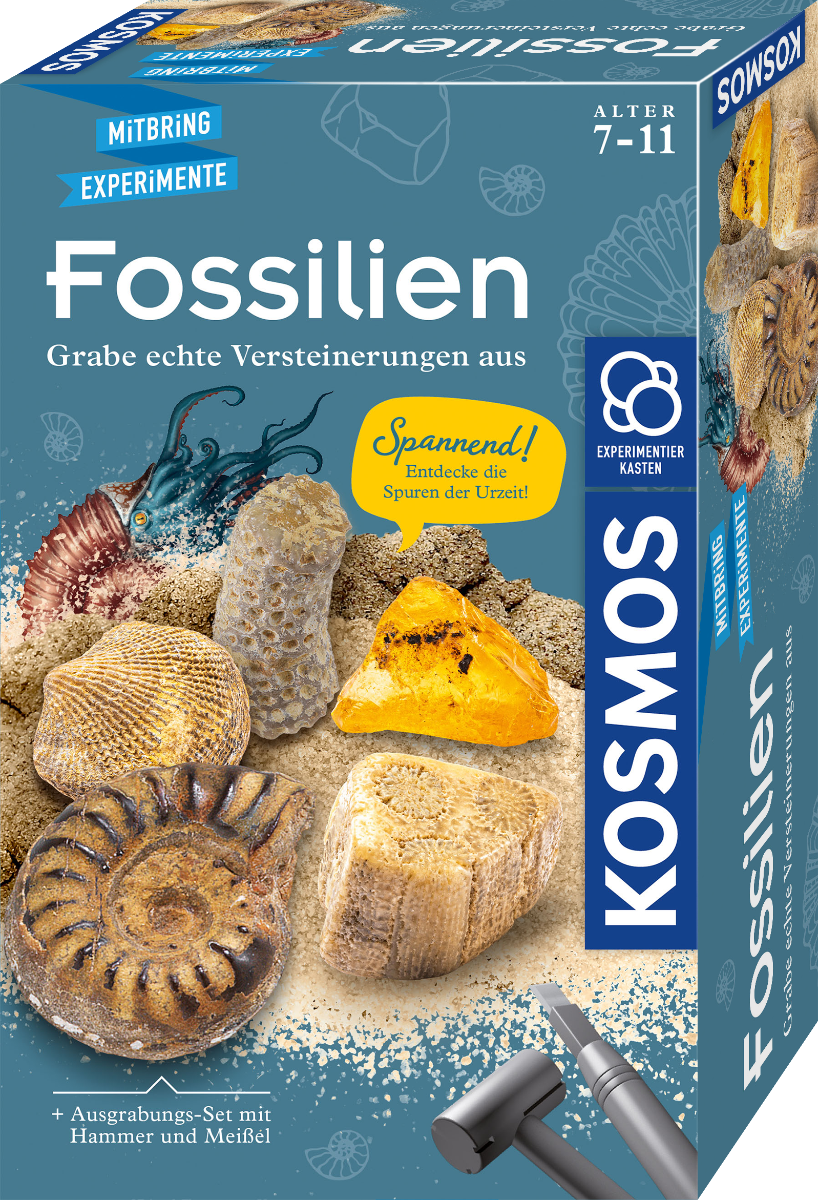 Fossils