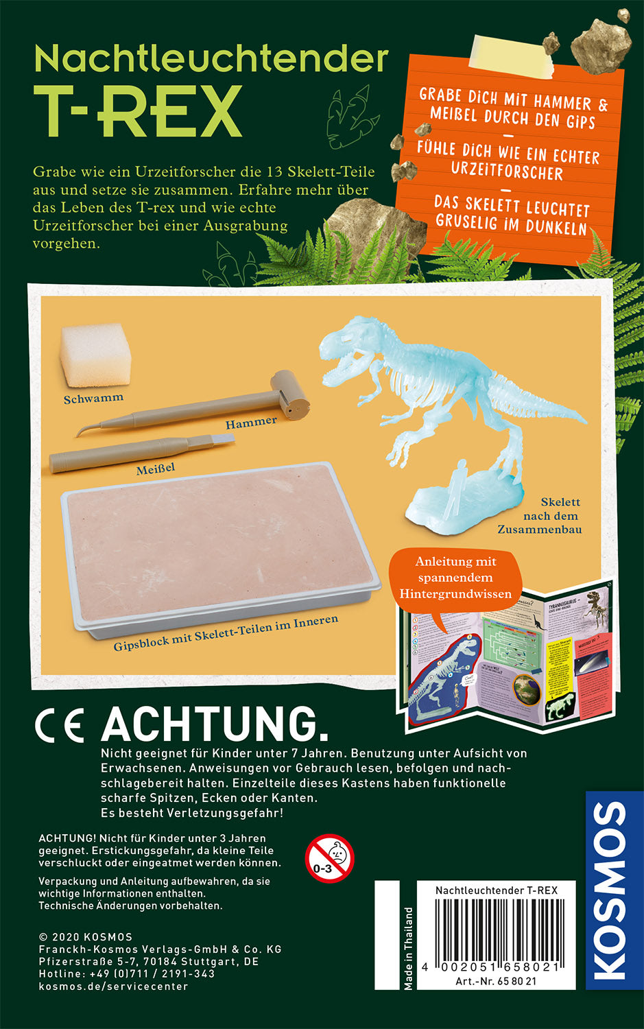 T-REX nachtleuchtend