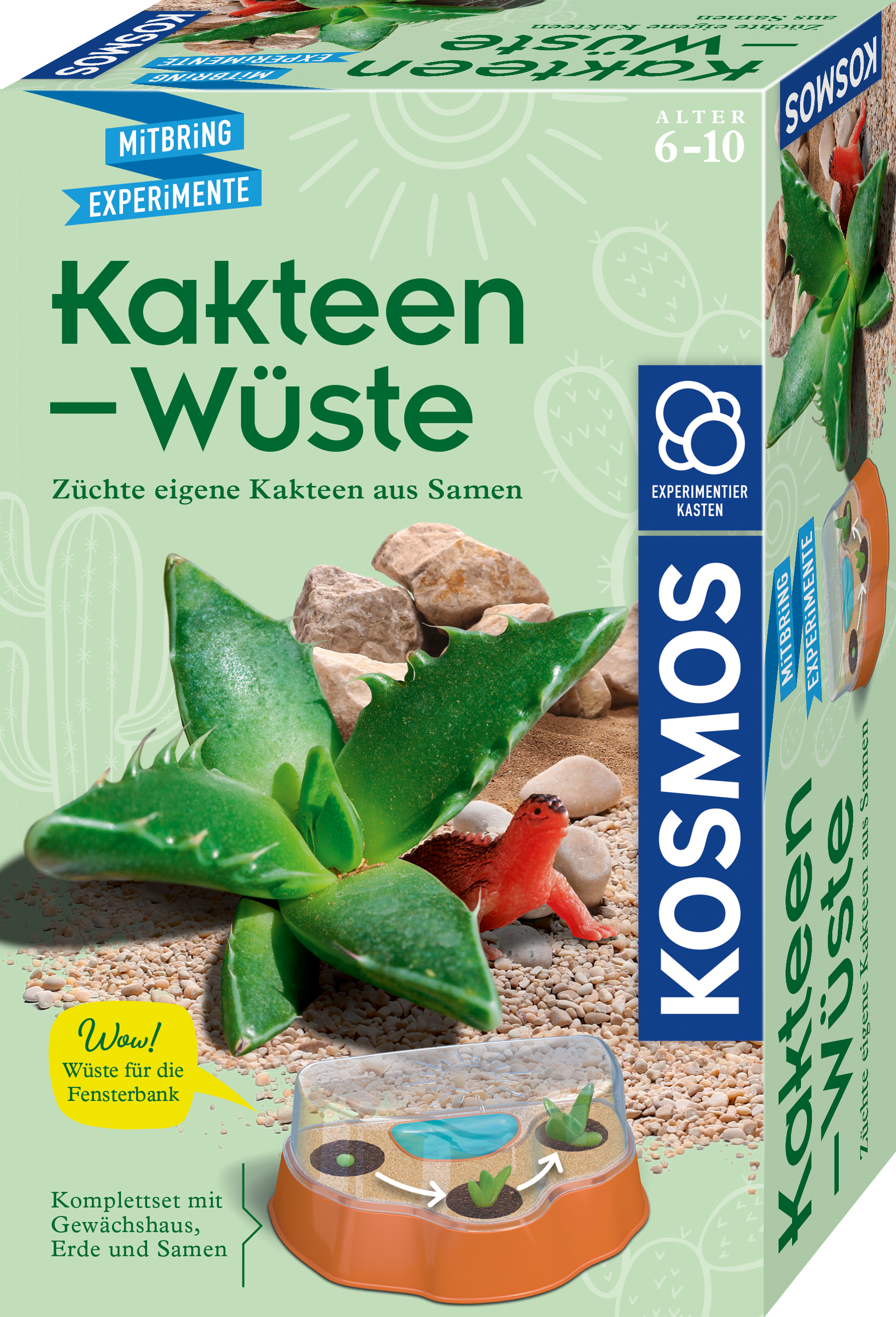 Kakteen-Wüste