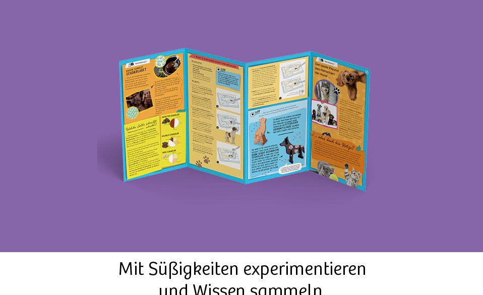 Schritt-für-Schritt- Anleitung mit farbigen Illustrationen