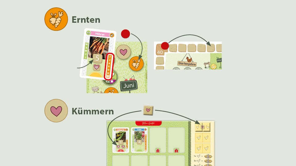 Ernten & Kümmern