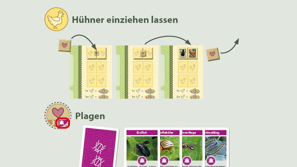 Hühner einziehen lassen & Plagen