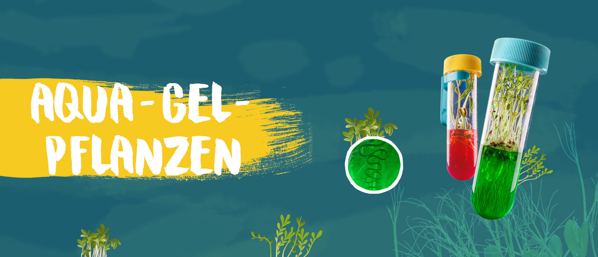 Fun Science Aqua-Gel-Pflanzen Banner