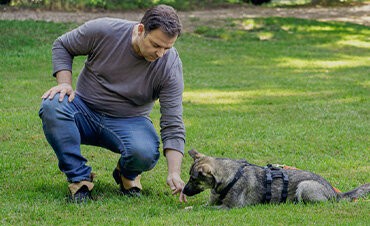 SITZ, DOWN, FUSS und MEHR