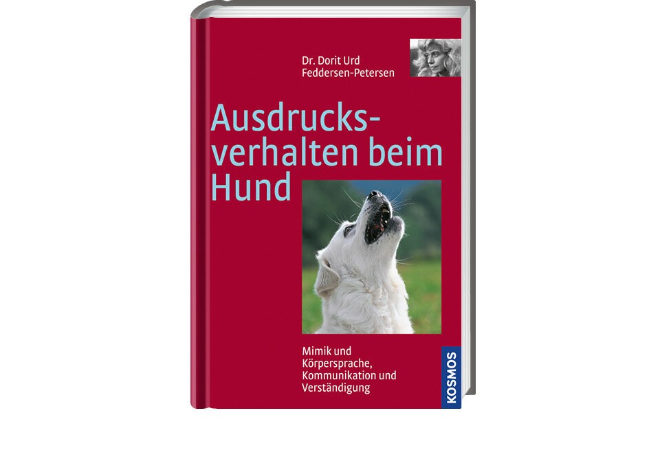 Verhalten verstehen und miteinander kommunizieren