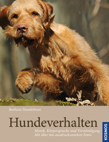 Dog Behavior