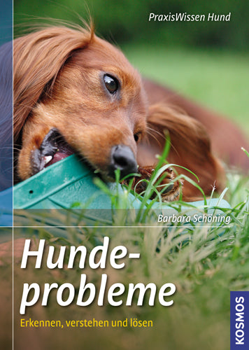 Dog problems
