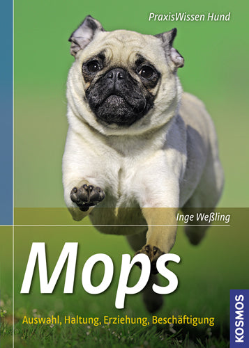 Pug