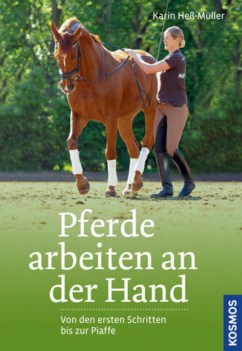 Horses working in hand