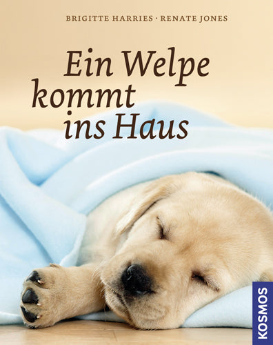 A puppy comes into the home