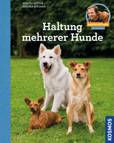 Keeping multiple dogs