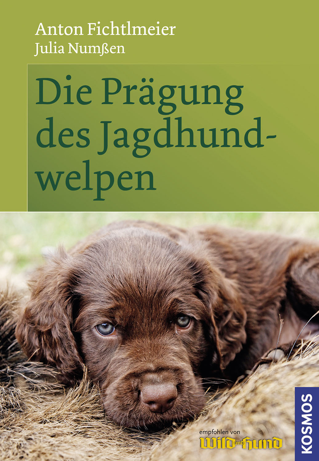 The Training of the Hunting Dog Puppy