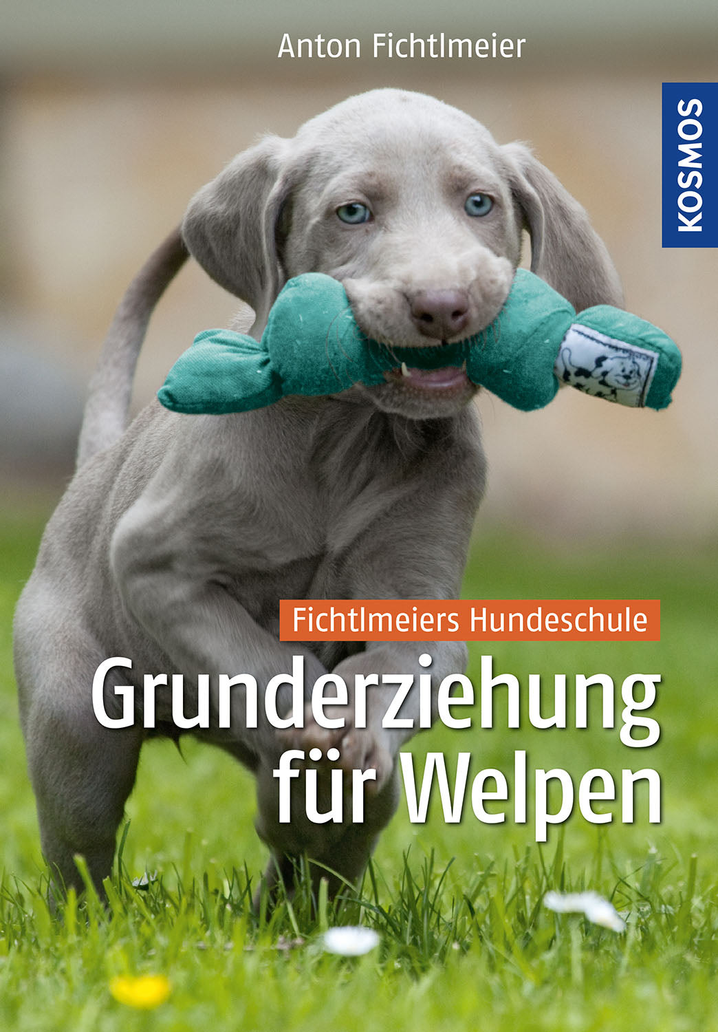 Basic puppy training