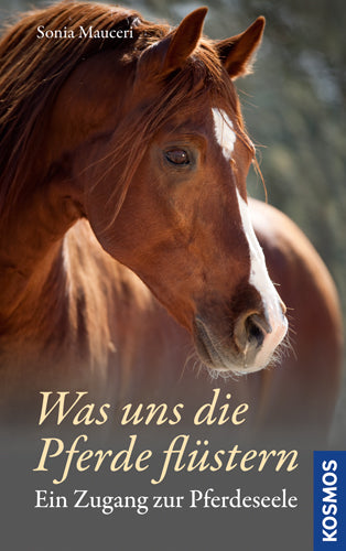 What the Horses Whisper to Us