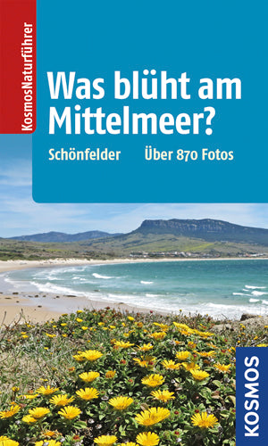 What flowers in the Mediterranean?