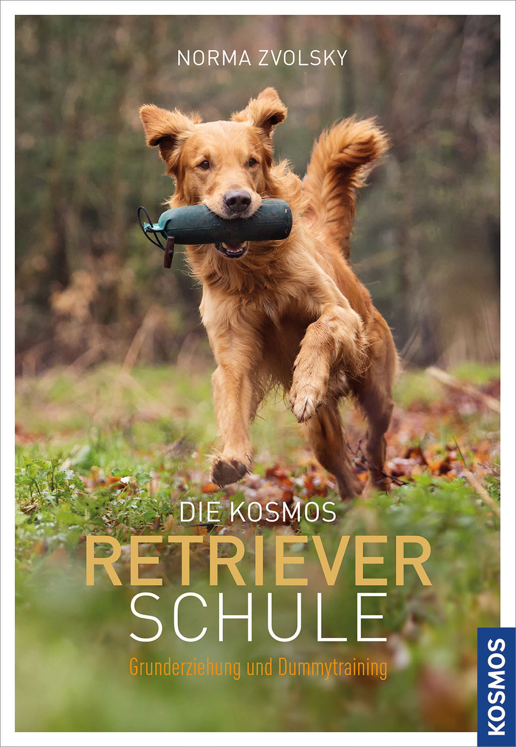 The Kosmos Retriever School