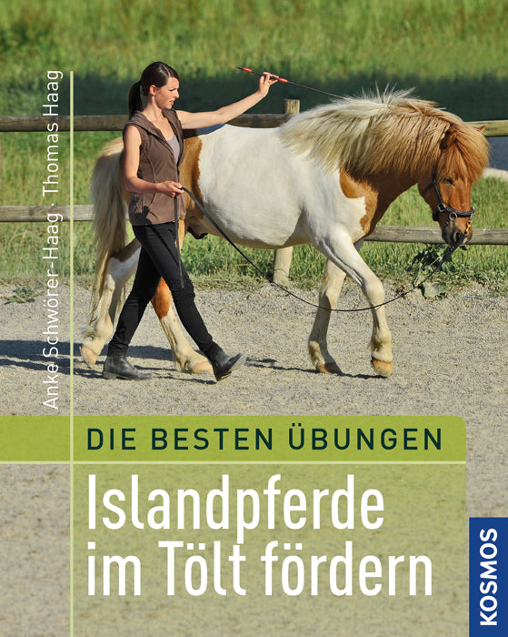 Best Exercises: Promoting Icelandic Horses in Tölt