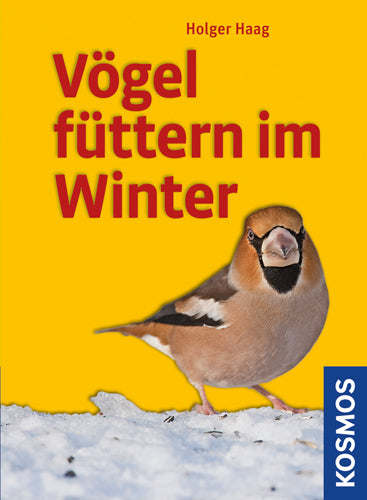 Feeding Birds in Winter