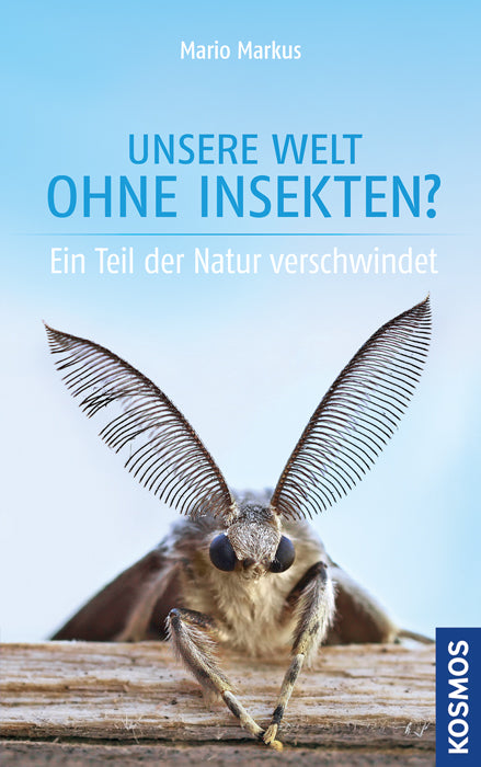 Our world without insects?