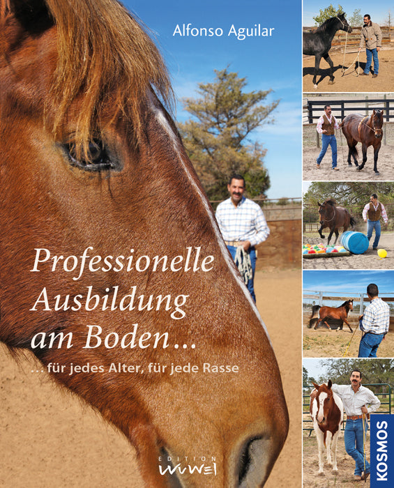 Professional ground training